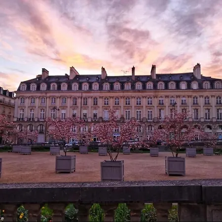 L'atypique - Place Du Parlement - Coeur De Rennes
